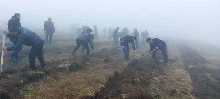 Azərbaycanın 12 rayonunda Torpaq çərşənbəsində 32 mindən çox ağac əkilib
