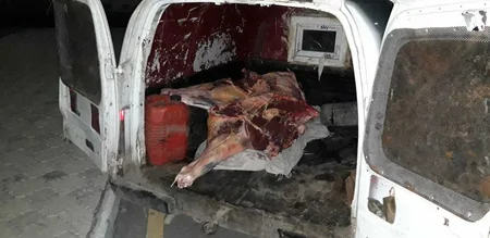 Ağdamda 180 kq istifadəyə yararsız heyvan cəmdəyi aşkarlanıb