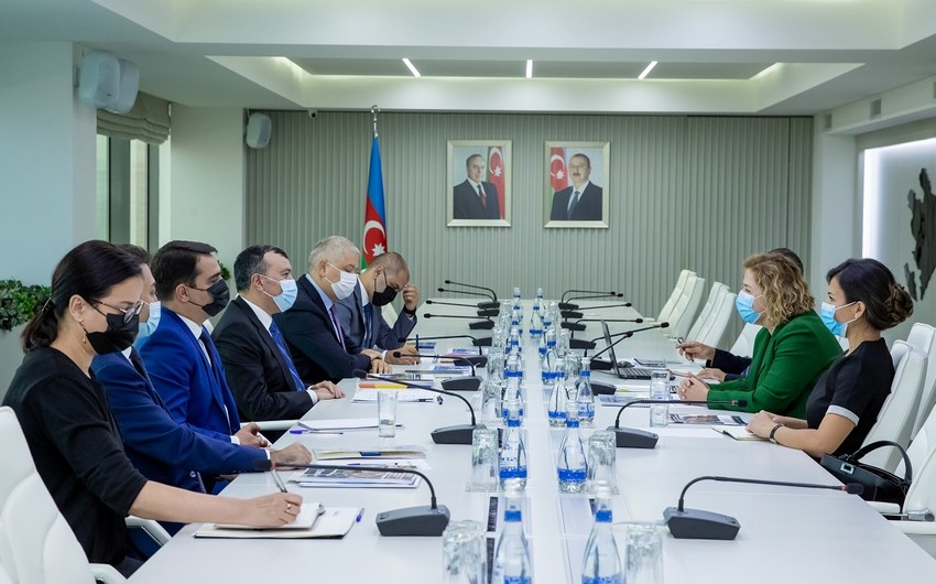 Bu il əlilliyi olan 4600 şəxsə reabilitasiya xidmətləri göstərilib