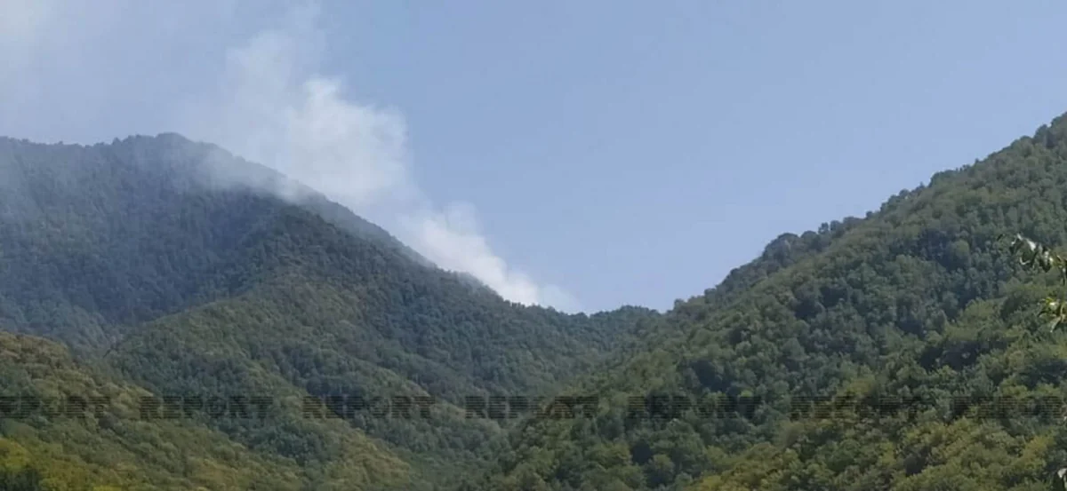 Oğuzda meşə yanır