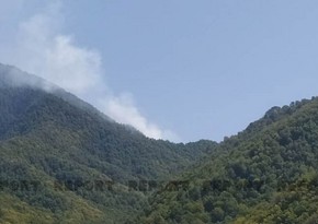 Wildfire breaks out in Azerbaijan's Oghuz