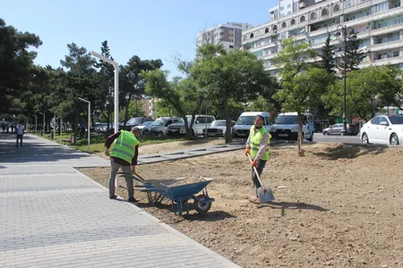 Bakı küçələrində yenidənqurma işləri aparılır