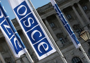 OSCE holds 27th Ministerial Council via videoconferencing