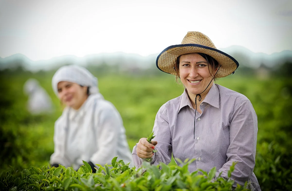 Aqrar Kredit və İnkişaf Agentliyi fermerlərə müraciət edib