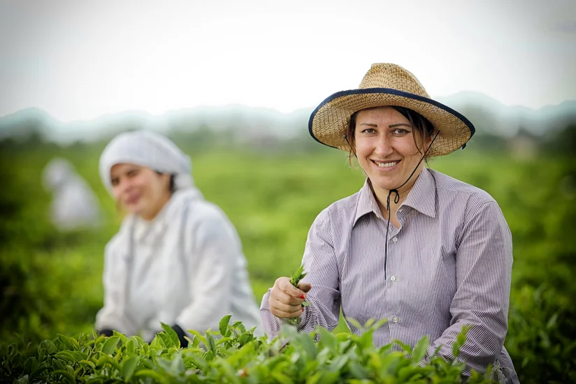 Aqrar Kredit və İnkişaf Agentliyi fermerlərə müraciət edib
