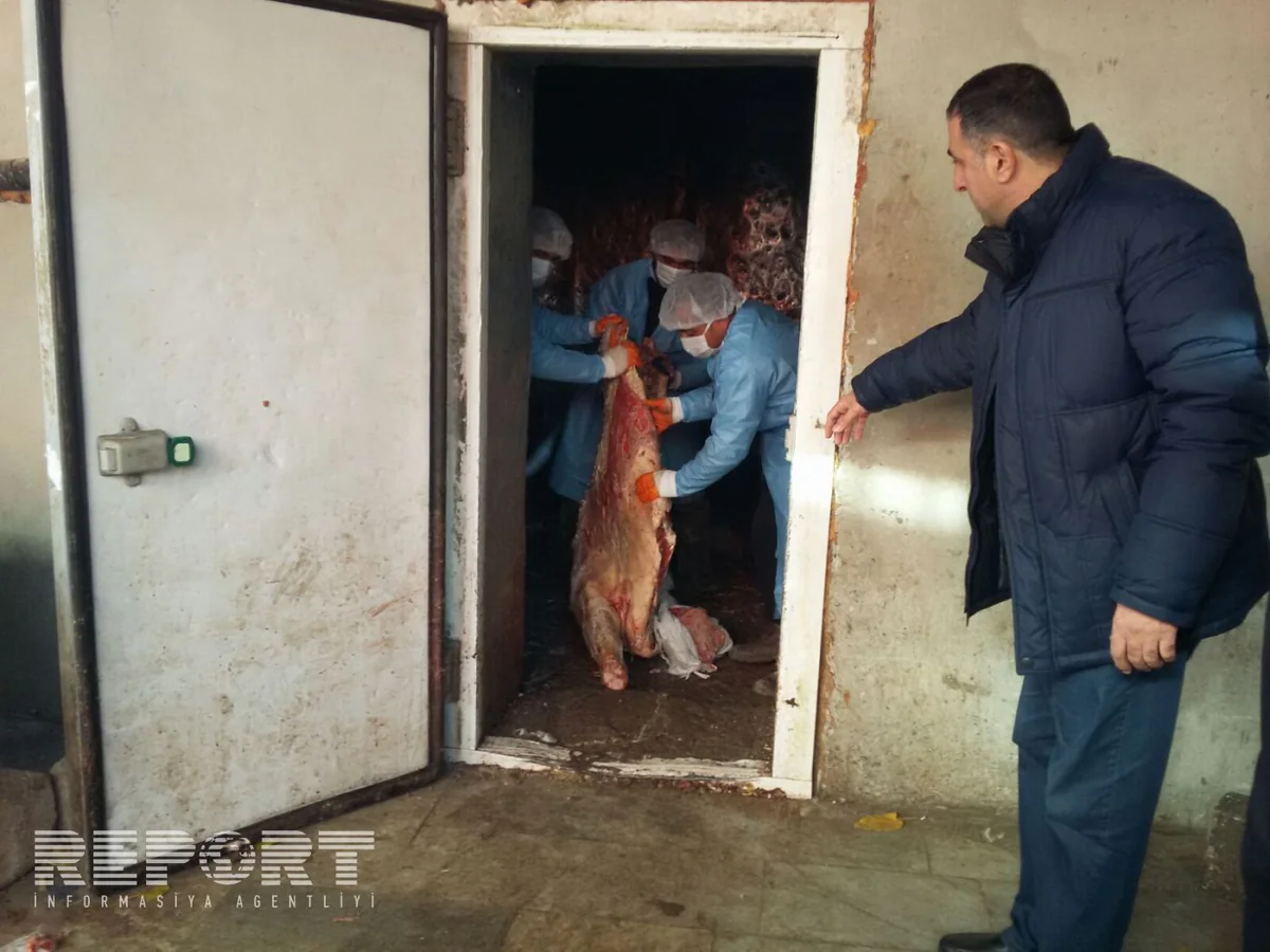 Bərdədə 20 ton mənşəyi məlum olmayan ət yandırılıb - FOTO