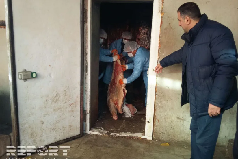 Bərdədə 20 ton mənşəyi məlum olmayan ət yandırılıb - FOTO