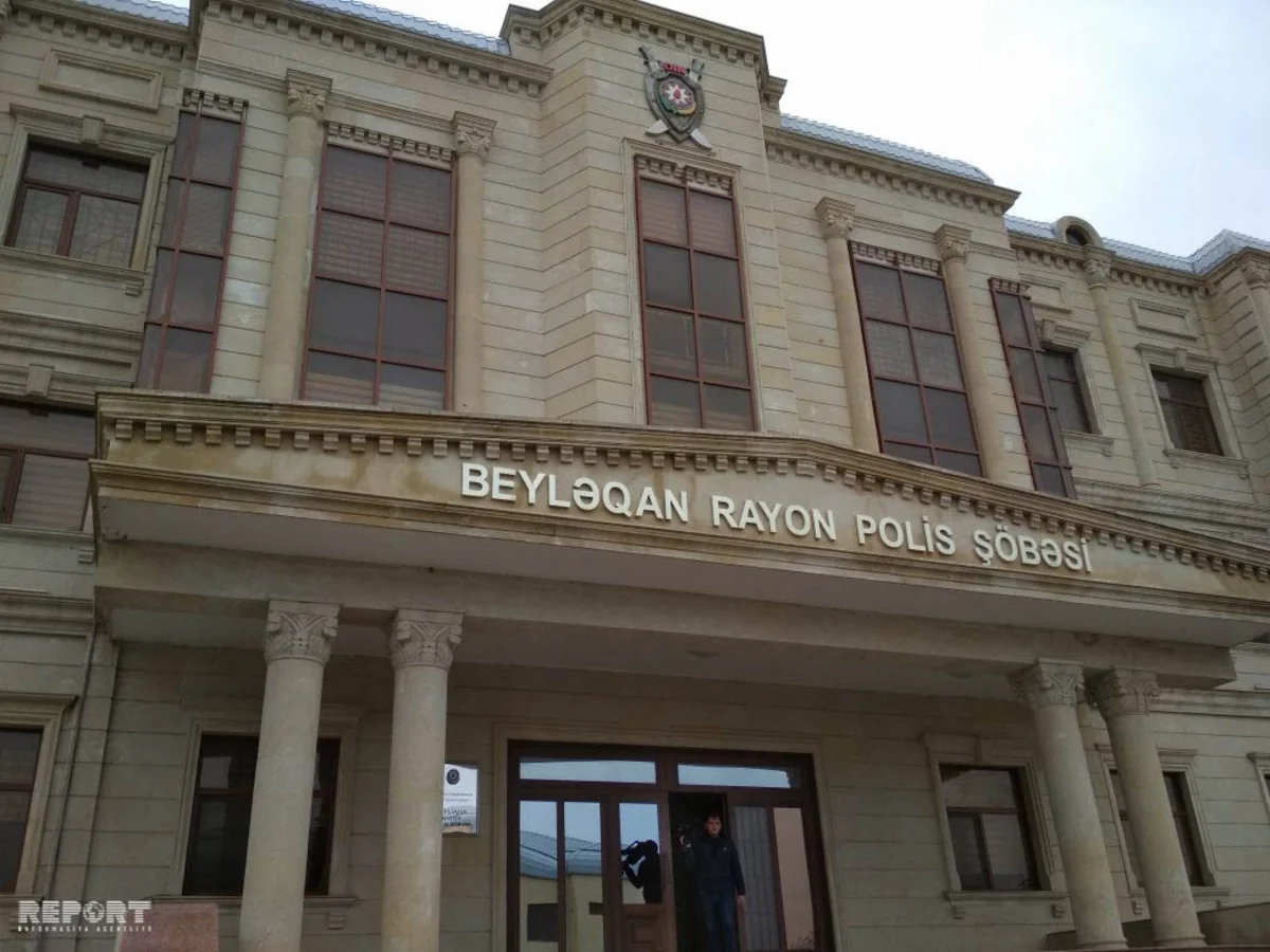 Beyləqan və Ağcabədidə fermalardan oğurluq edən çoban saxlanılıb - FOTO