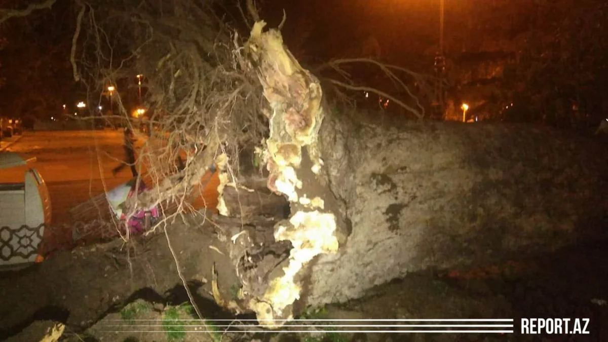 Плохая погода создала проблемы жителям западных районов - ФОТО