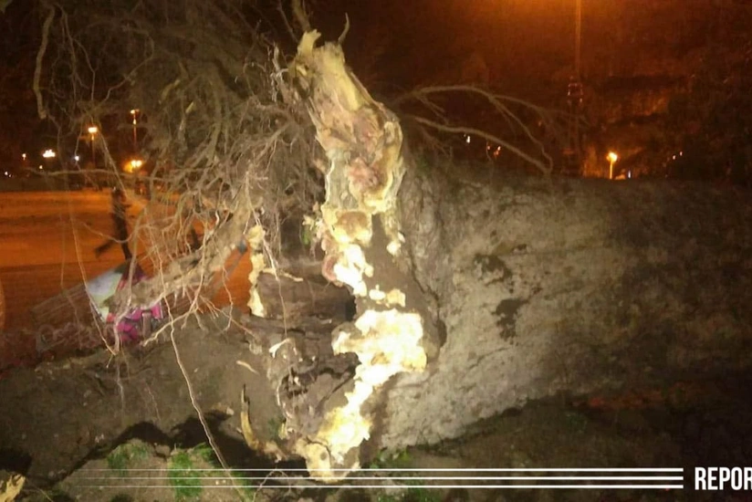 Плохая погода создала проблемы жителям западных районов - ФОТО