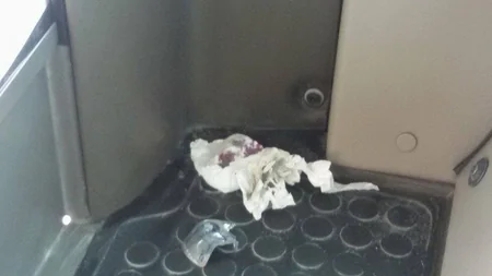 Measures will be taken on passengers littering or damaging Baku buses