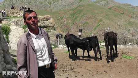 Qubada xəstəlikdən tələf olan mal-qara basdırılmayıb - FOTO - VİDEO