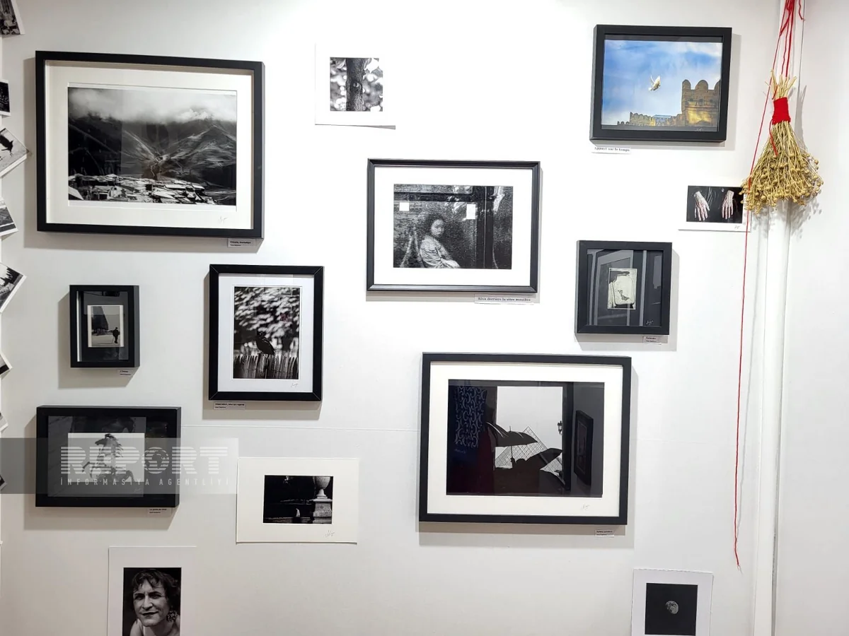 Fransada beynəlxalq sərgidə azərbaycanlı fotoqrafın əsərləri nümayiş olunub