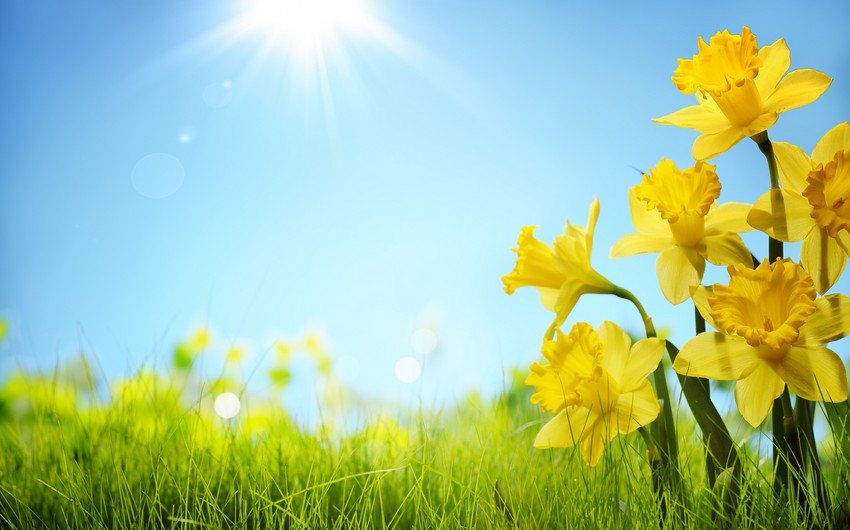 Weather temperature to be 39 C tomorrow 