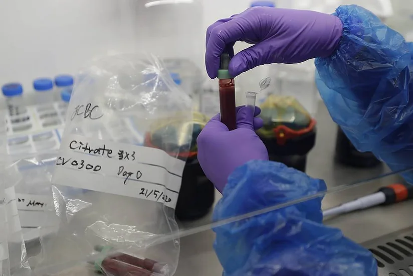 Ученые выявили набор наиболее сильных антител к коронавирусу