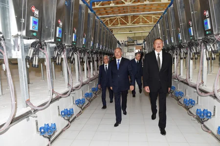 Prezident İlham Əliyev Cəlilabadda “Günəşli-Aqro” MMC-nin aqroparkında yaradılan şəraitlə tanış olub