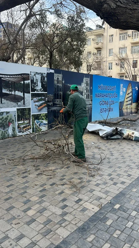 Güclü külək Bakıda 20 ağacı sındırıb