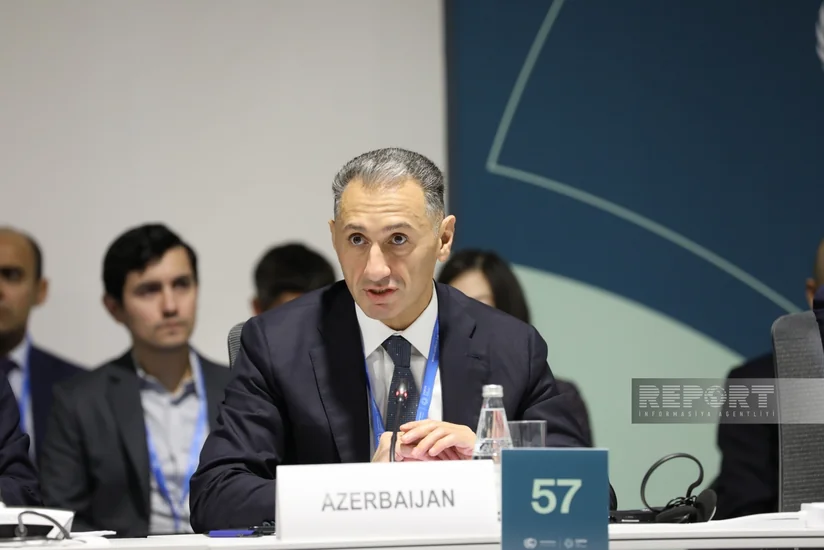 Nazir: “Azərbaycana idxal olunan elektrikli və hibrid avtomobillərin payı 2 dəfə artıb”