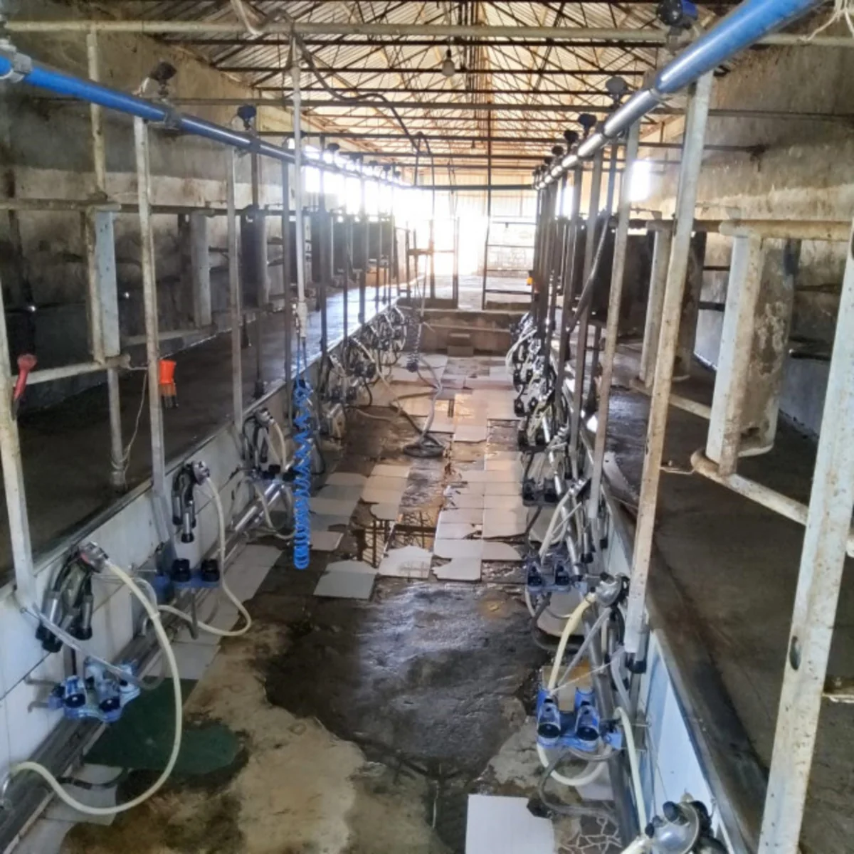Goranboyda fermada nöqsanlar aşkarlanıb