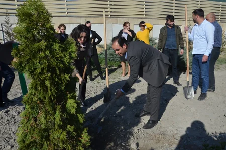 Göyçayda Heydər Əliyevin 100 illiyinə həsr olunmuş ağacəkmə aksiyası keçirilib