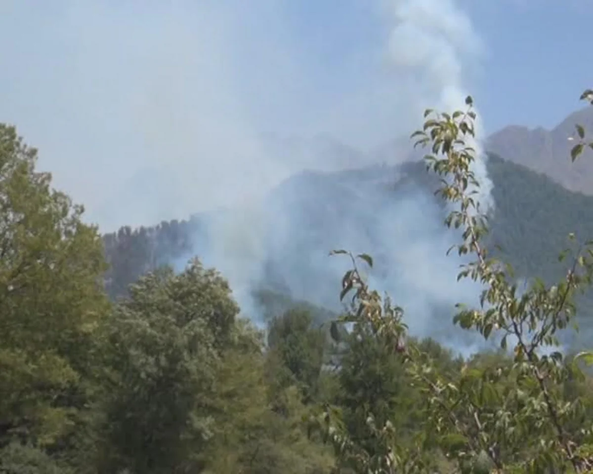 Oğuz rayonu ərazisindəki meşələrdə yanğın baş verib