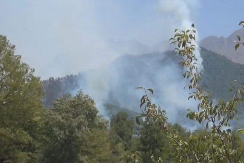 В лесах на территории Огузского района произошел пожар