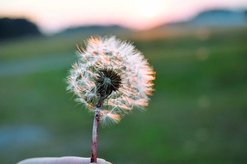 Weather temperature to reach 27C tomorrow 