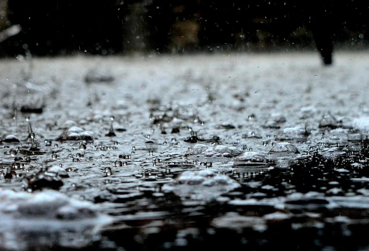 Weather will be rainy tomorrow