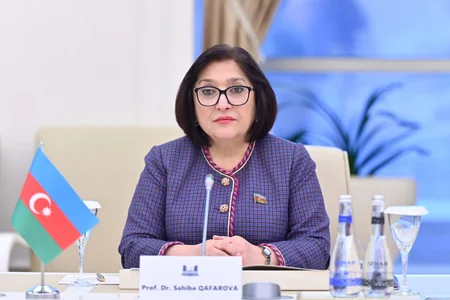 Sahibə Qafarova Özbəkistan parlamenti sədrinin birinci müavini ilə görüşüb