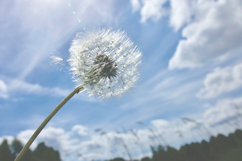 Weather temperature to reach 44 C tomorrow - WARNING