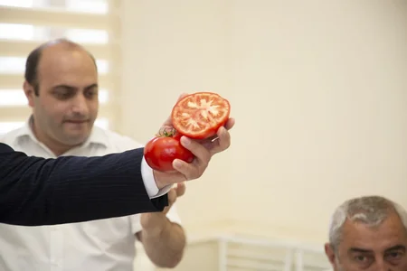 Azərbaycanda yeni tərəvəz növləri yaradılıb