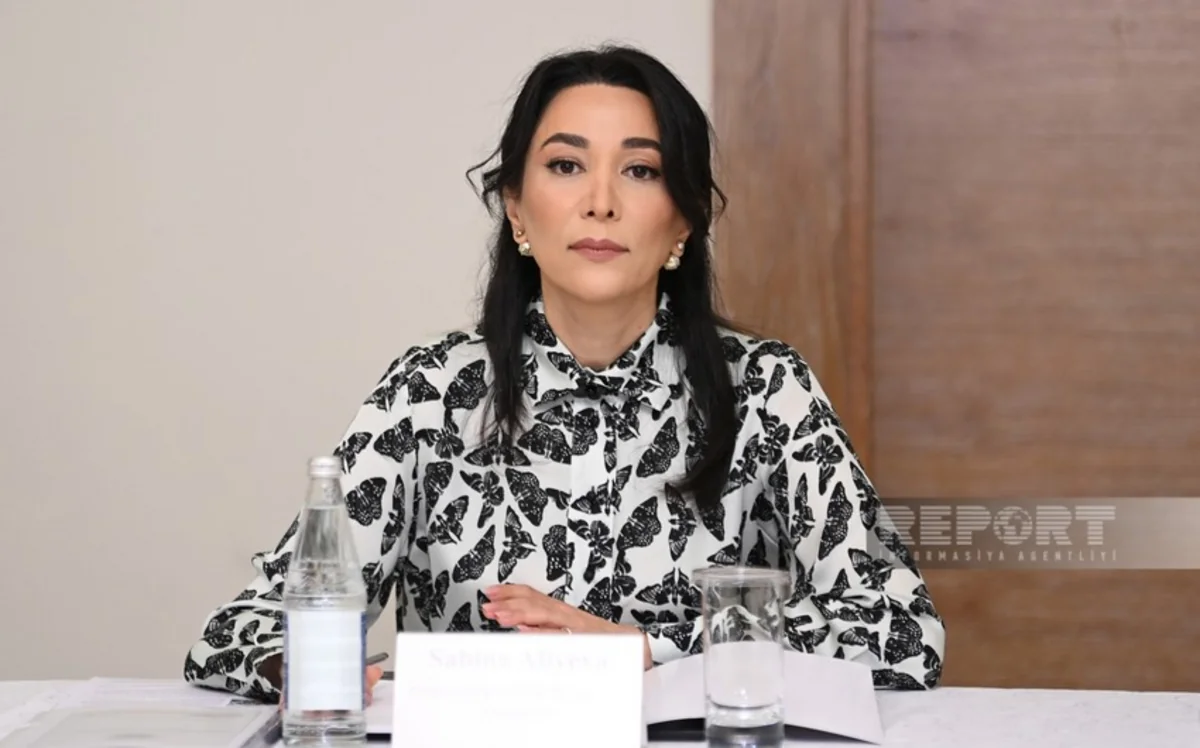 Ombudsman: Azərbaycan dünyada dezinformasiyadan ən çox əziyyət çəkən ölkələrdən biridir
