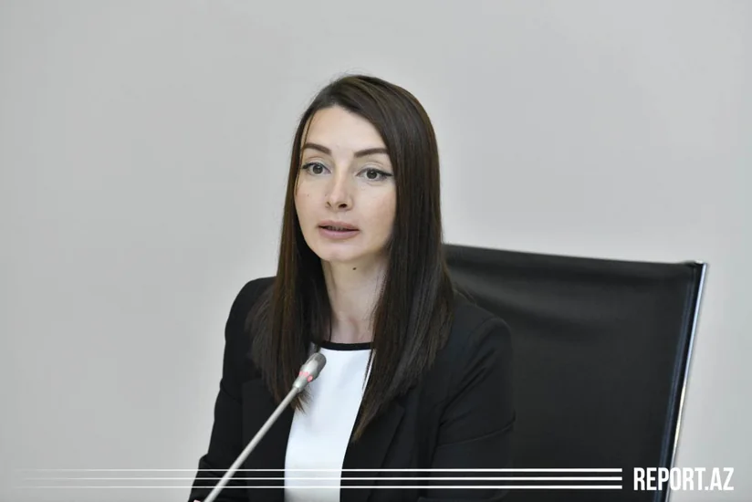МИД ответил Пашиняну: Формат переговорного процесса не может быть изменен