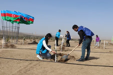 Стартовала кампания по посадке деревьев Зеленый марафон 2022