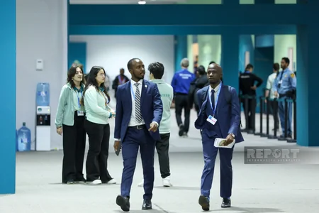 Photos from COP29 Day 8 in Baku