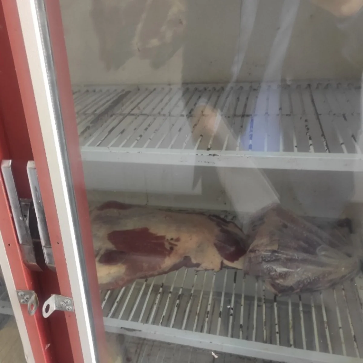 Oğuzda ət satışı məntəqəsində nöqsanlar aşkarlanıb