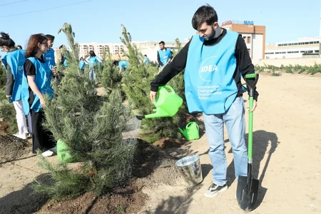 Tree-planting campaign held in Baku