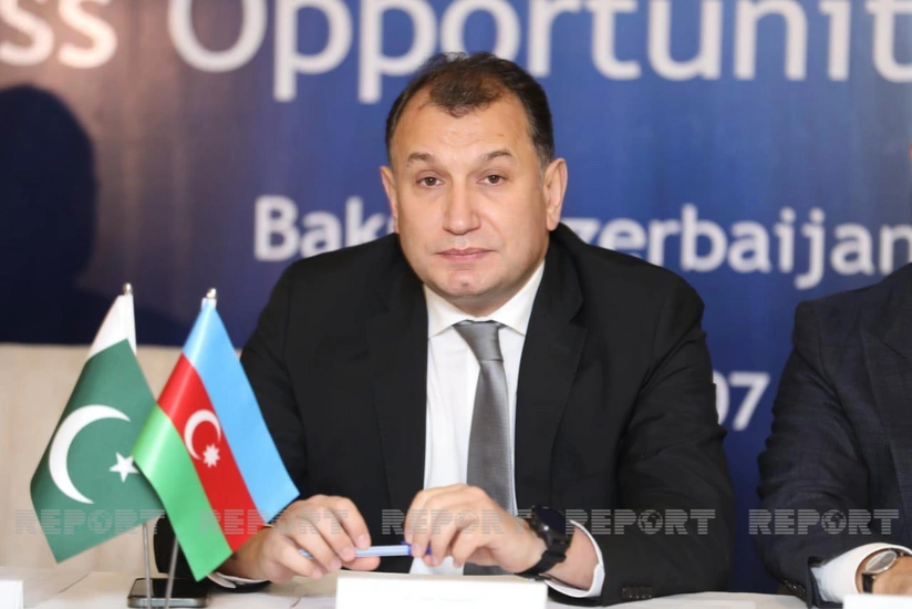 Замминистра: Азербайджанский народ никогда не забудет поддержку братского Пакистана