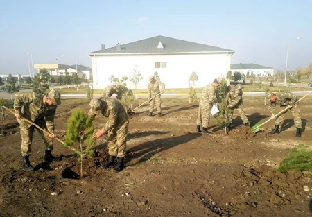 Azərbaycan Ordusunda ağacəkmə aksiyası davam edir