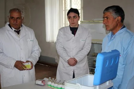 Kəlbəcərlilərə məxsus heyvanlar arasında profilaktik peyvəndləmə və diaqnostik müayinələr aparılır