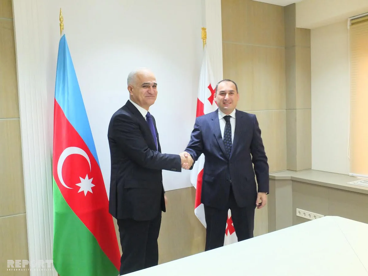 Azerbaijan and Georgia discuss prospects of economic cooperation