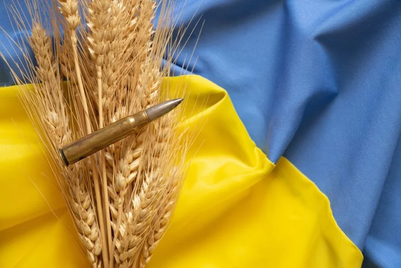 В ФАО ожидают в 2023 году ухудшения продовольственной ситуации