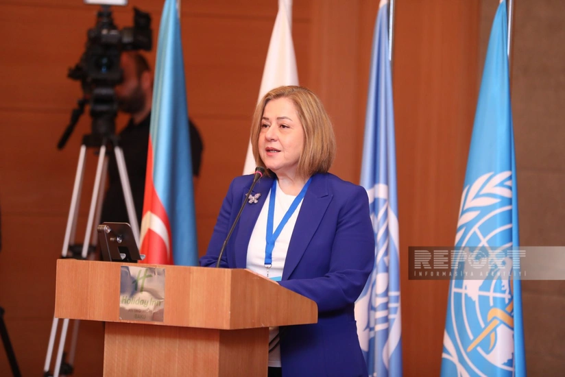 WHO rep: There should be no compromise on food safety