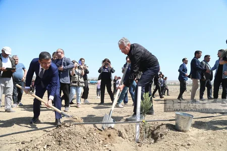 Media nümayəndələrinin iştirakı ilə Heydər Əliyevin 100 illik yubileyinə həsr olunmuş ağacəkmə aksiyası keçirilib