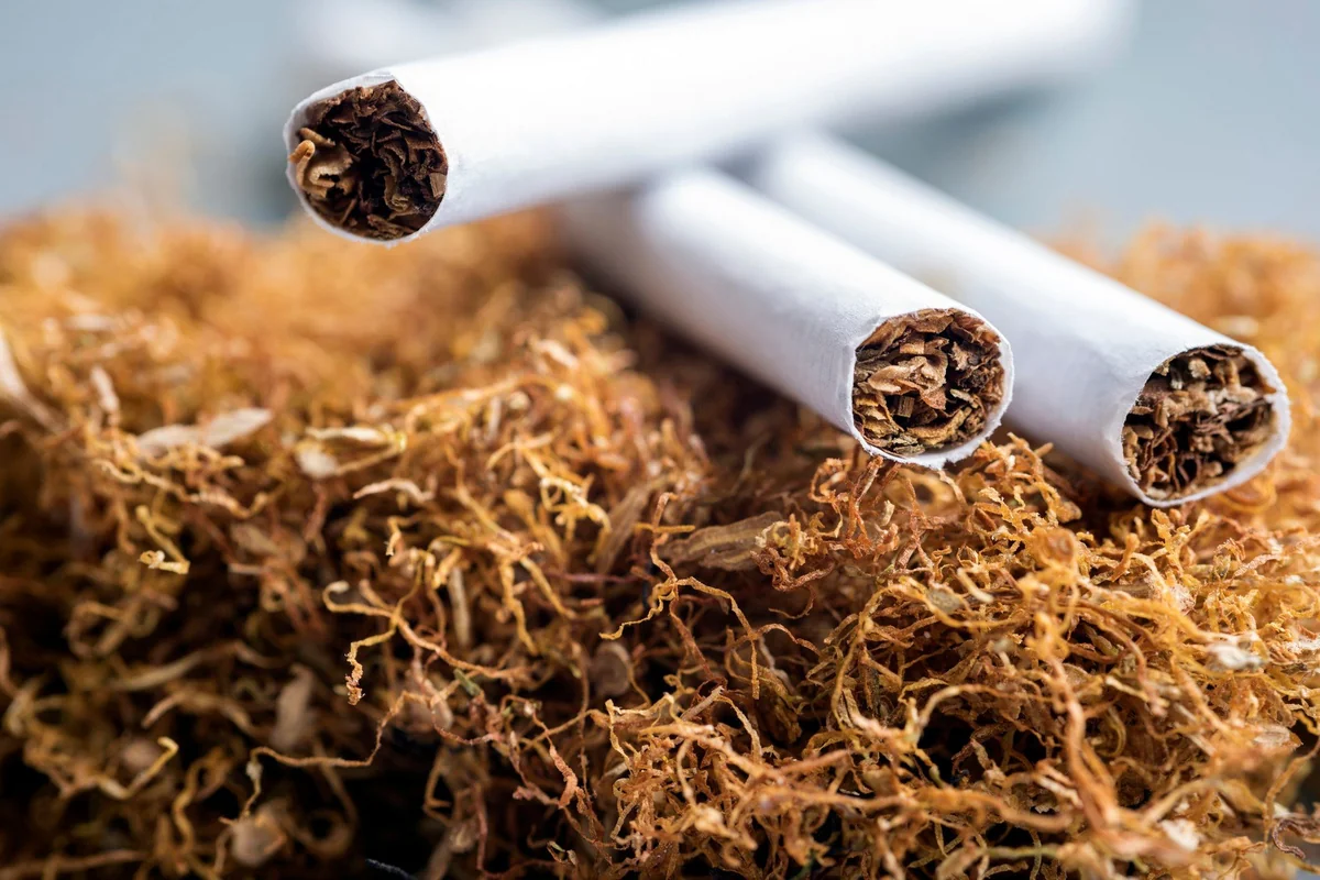 Azerbaijan sees over 40% rise in revenues from tobacco exports