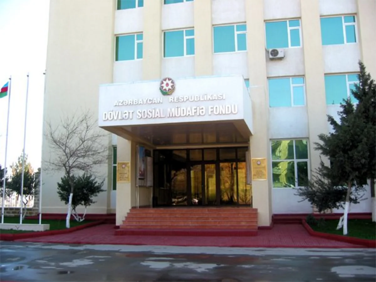 DSMF-nin şöbə müdiri: Bəzi ekspertlər sosial sığorta ilə vergini qarışıq salır