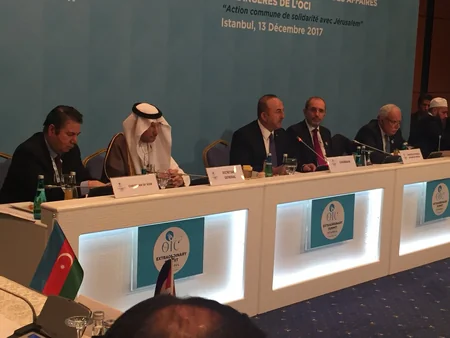 Elmar Mammadyarov attends the OIC Ministerial Council in Istanbul