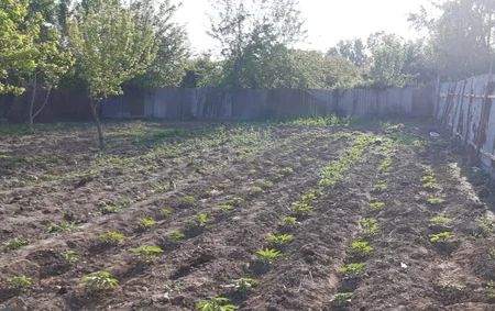 Ağdamda polis əməliyyat keçirib, qardaşlar saxlanılıb