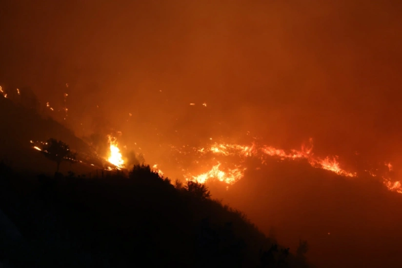 Türkiyənin Muğla vilayətində meşə yanğınları başlayıb