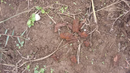 В Агдаме обнаружены части разорвавшегося артиллерийского снаряда